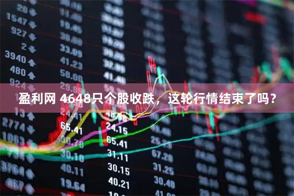 盈利网 4648只个股收跌，这轮行情结束了吗？