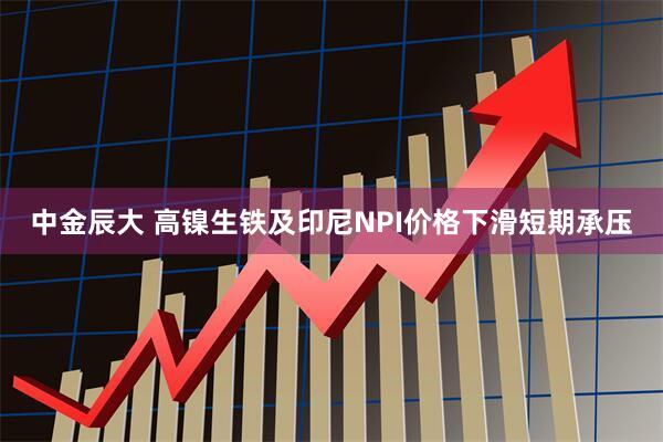 中金辰大 高镍生铁及印尼NPI价格下滑短期承压